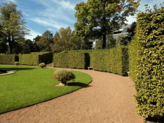 Gravel driveways in Yorkshire