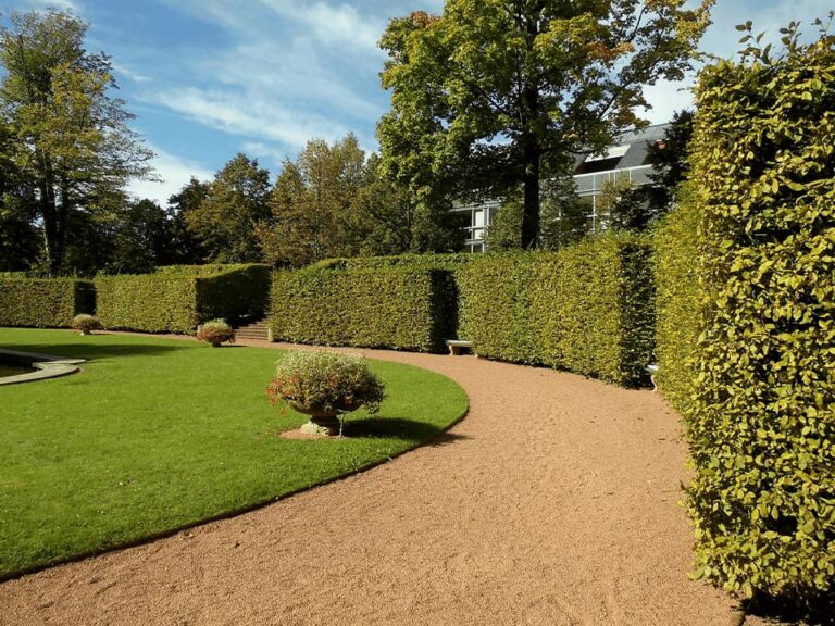 Landscaper services near me Yorkshire