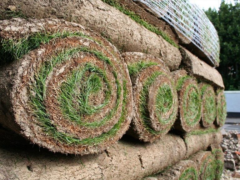Experienced landscapers near me in Yorkshire