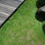 Artificial Grass Installers Yorkshire