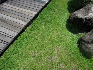 Landscaper services in Yorkshire
