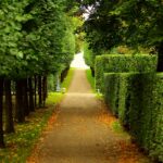 Walkway builders near me Yorkshire